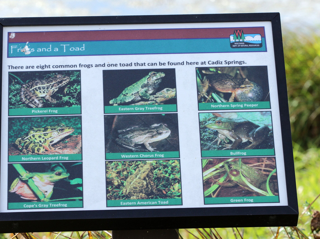 Browntown-cadiz Springs State Recreation Area-Browntown必去景点