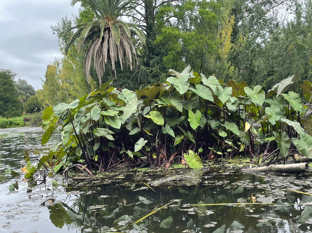 Punting On The Lake景点图片