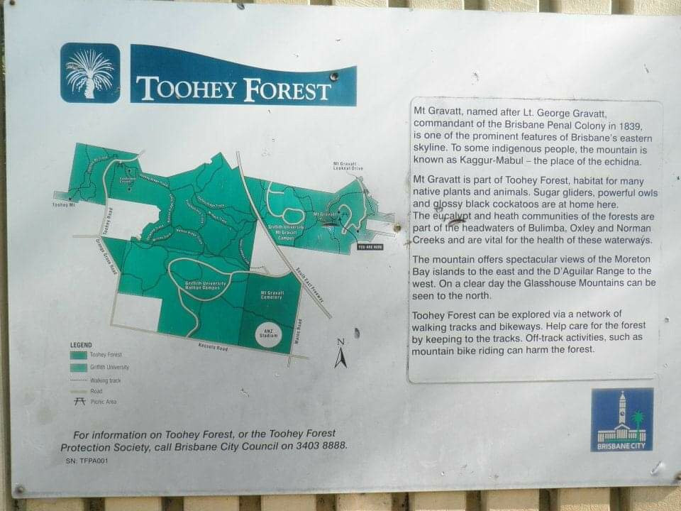 图海森林-布里斯班必去景点