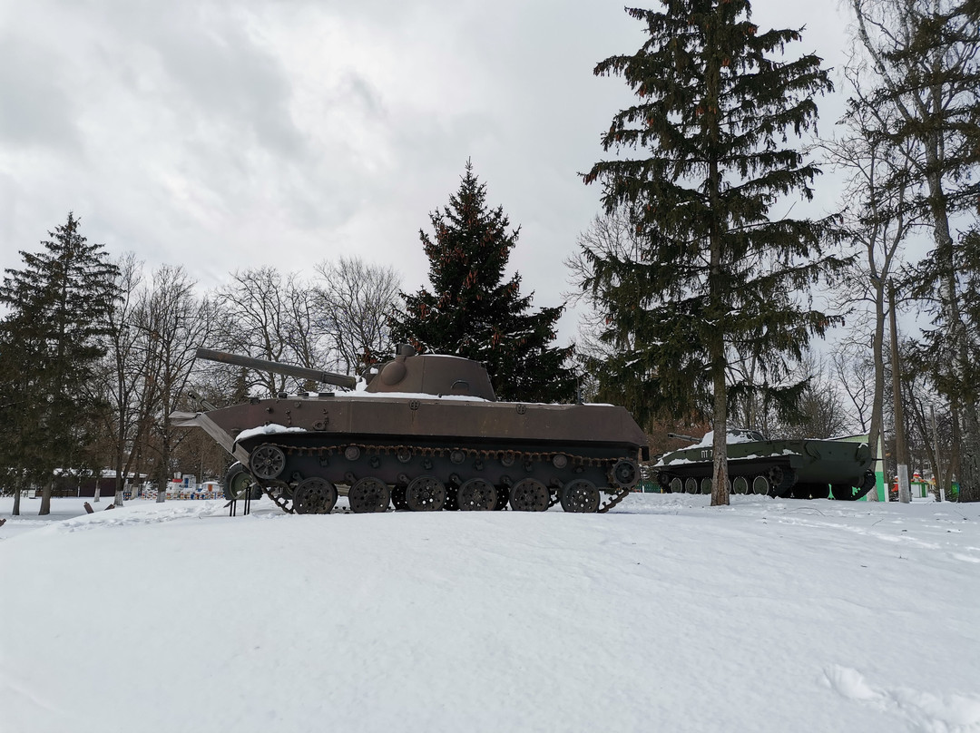 Pinsk City Park of Culture and Rest named after  Red Banner Dnieper Flotilla
