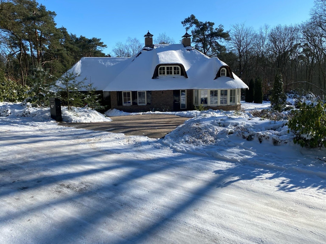 Nationaal Park De Sallandse Heuvelrug景点图片
