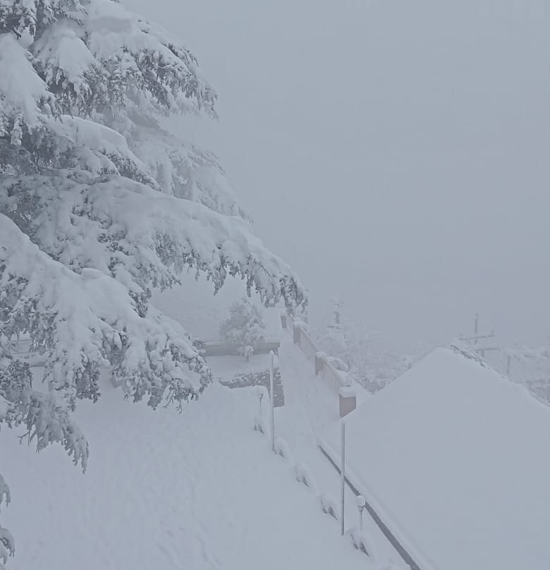 Hotel Woodrina主图