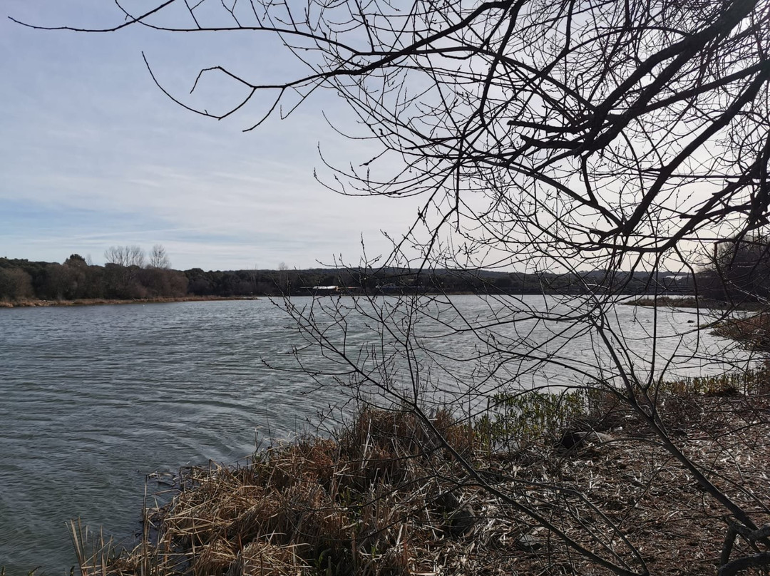 Embalse de los Arroyos景点图片