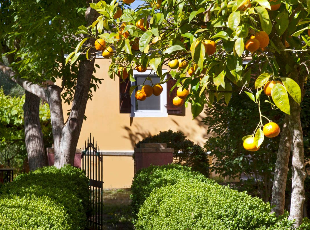 Pelecas Country Club主图