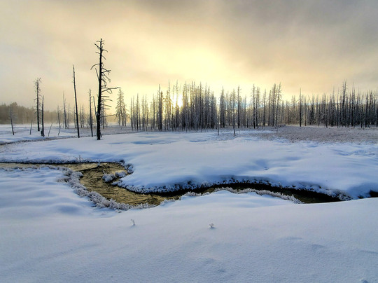 KAR Safaris-西黄石镇必去景点