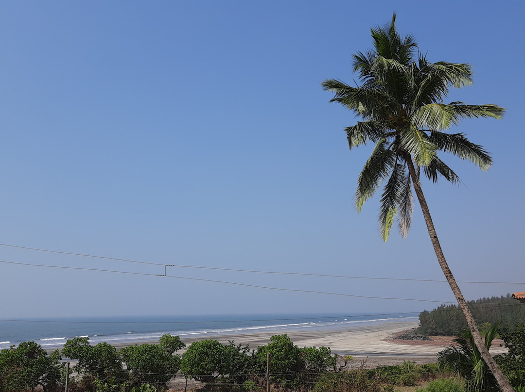 Sagar Sawali Beach Resort Ladghar主图