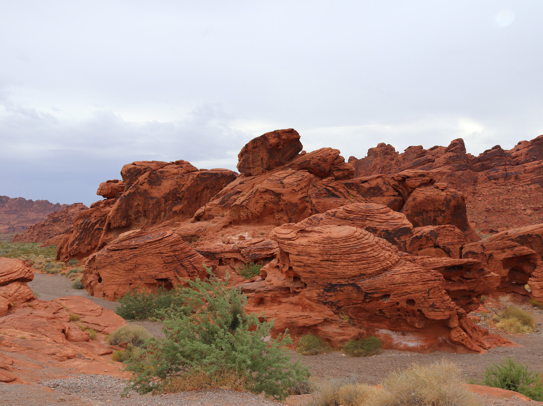 The Beehives-欧弗顿必去景点