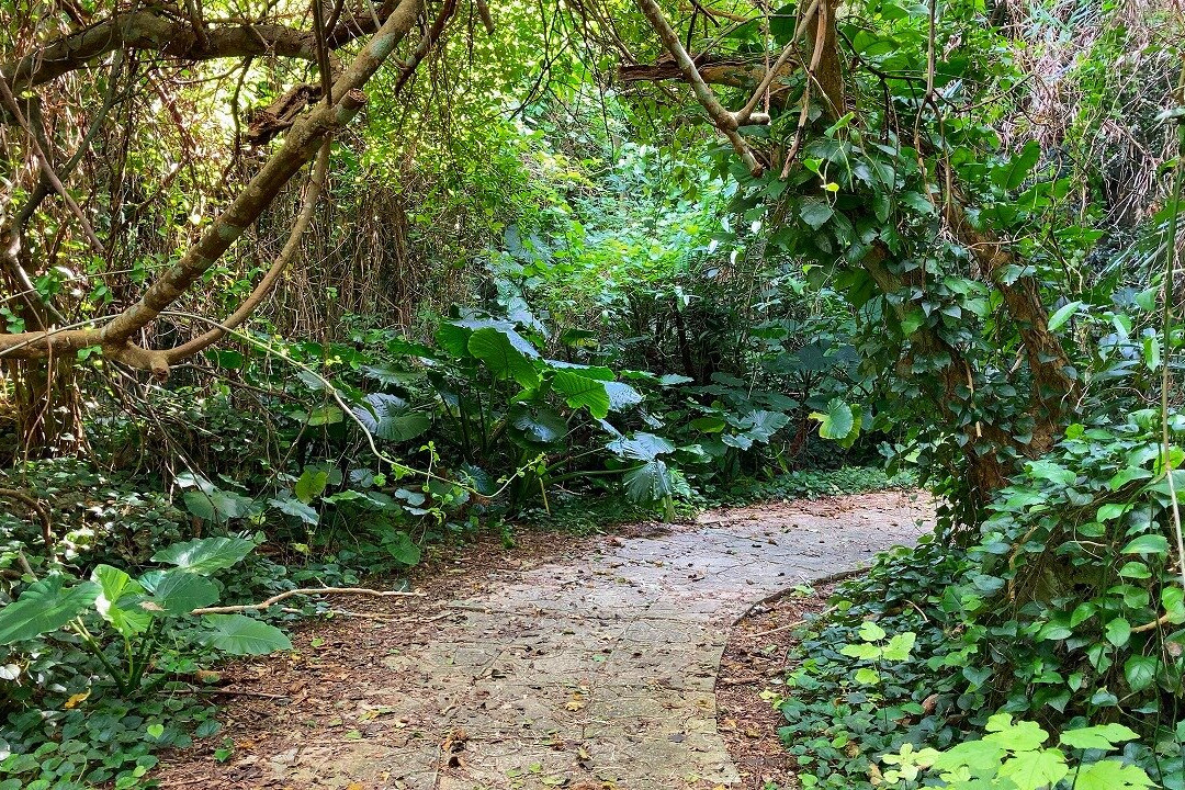 Tako Park-宫古岛市必去景点