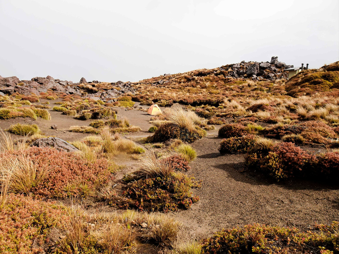 Tongariro Northern Circuit景点图片