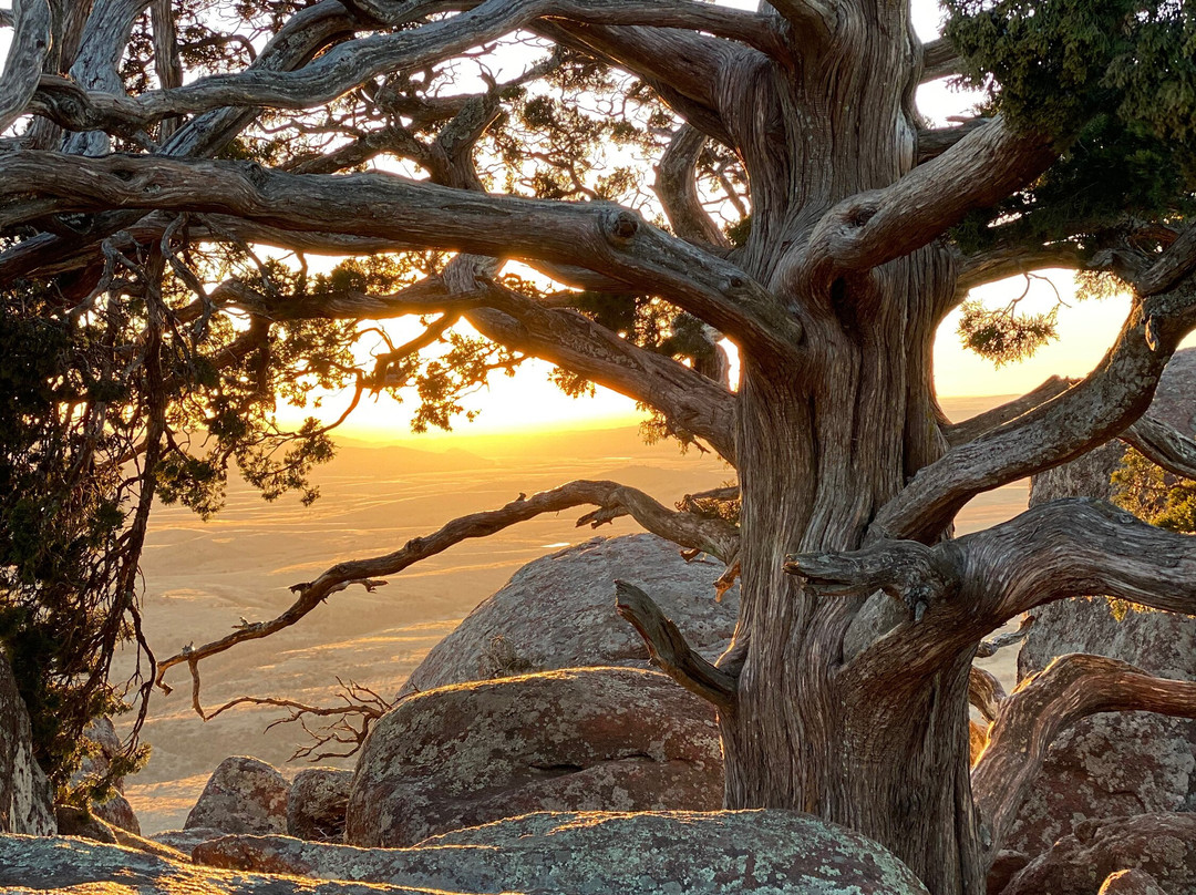 Wichita Mountains National Wildlife Refuge-Indiahoma必去景点
