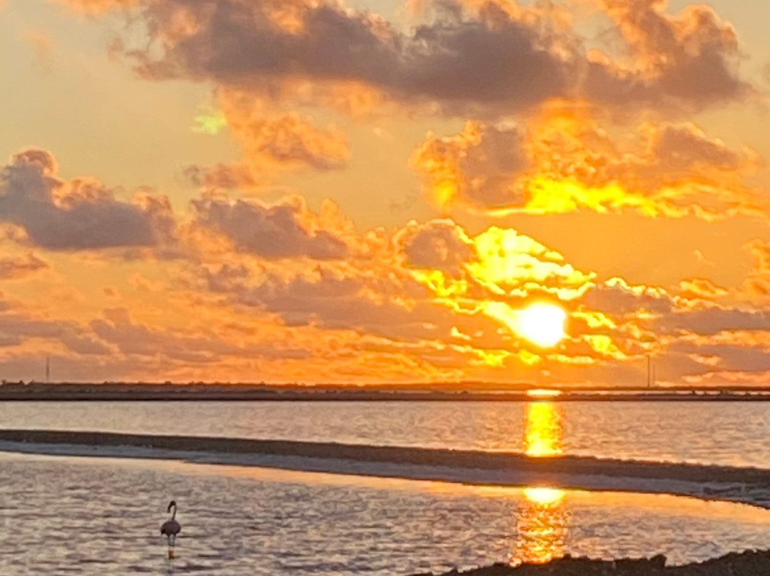 Salt Pier-Kralendijk必去景点