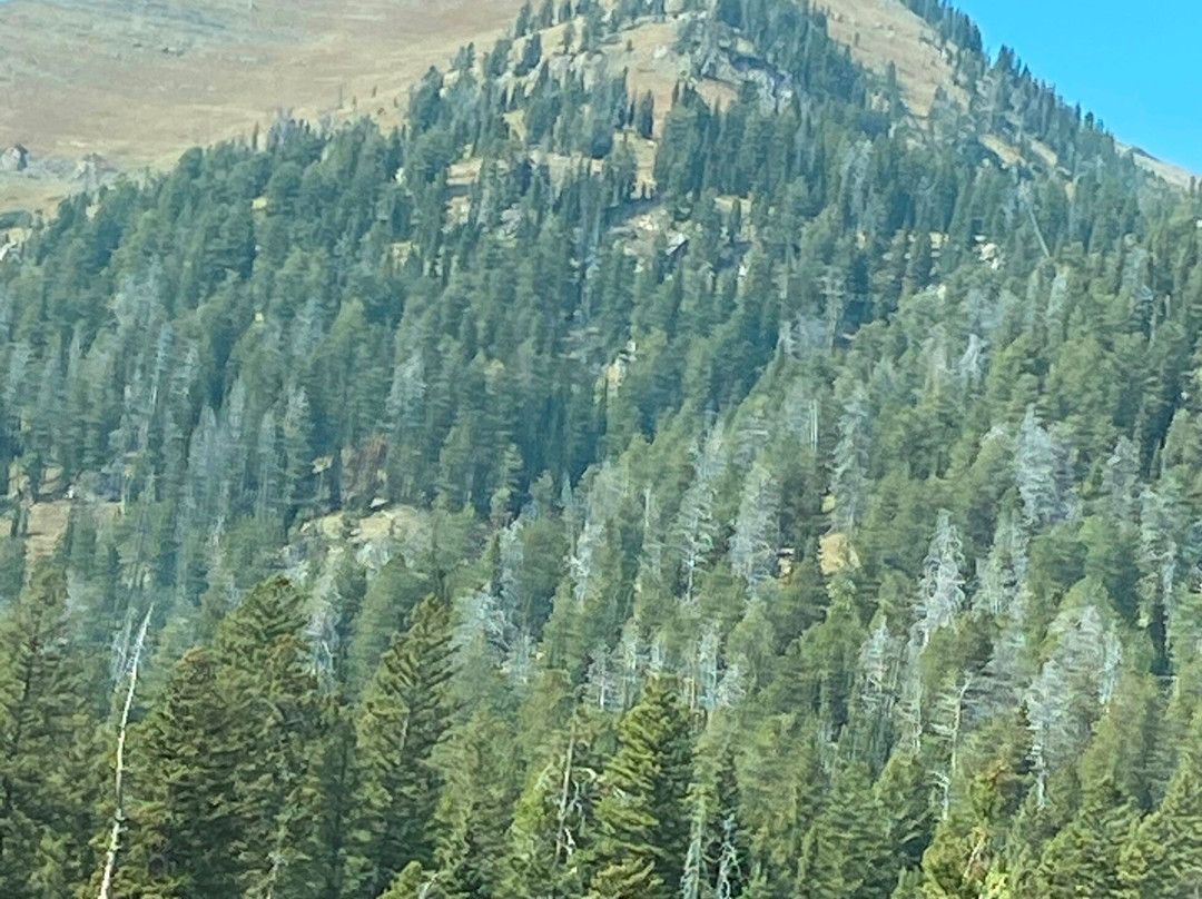 Teton Pass-提顿村必去景点