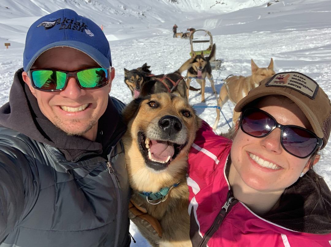 Alaskan Husky Adventures-安克雷奇必去景点