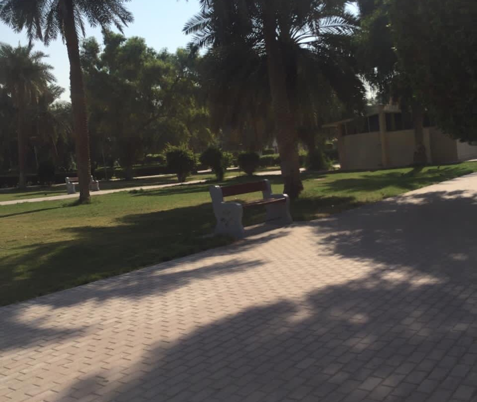 Jamal Abd A Naser Park景点图片