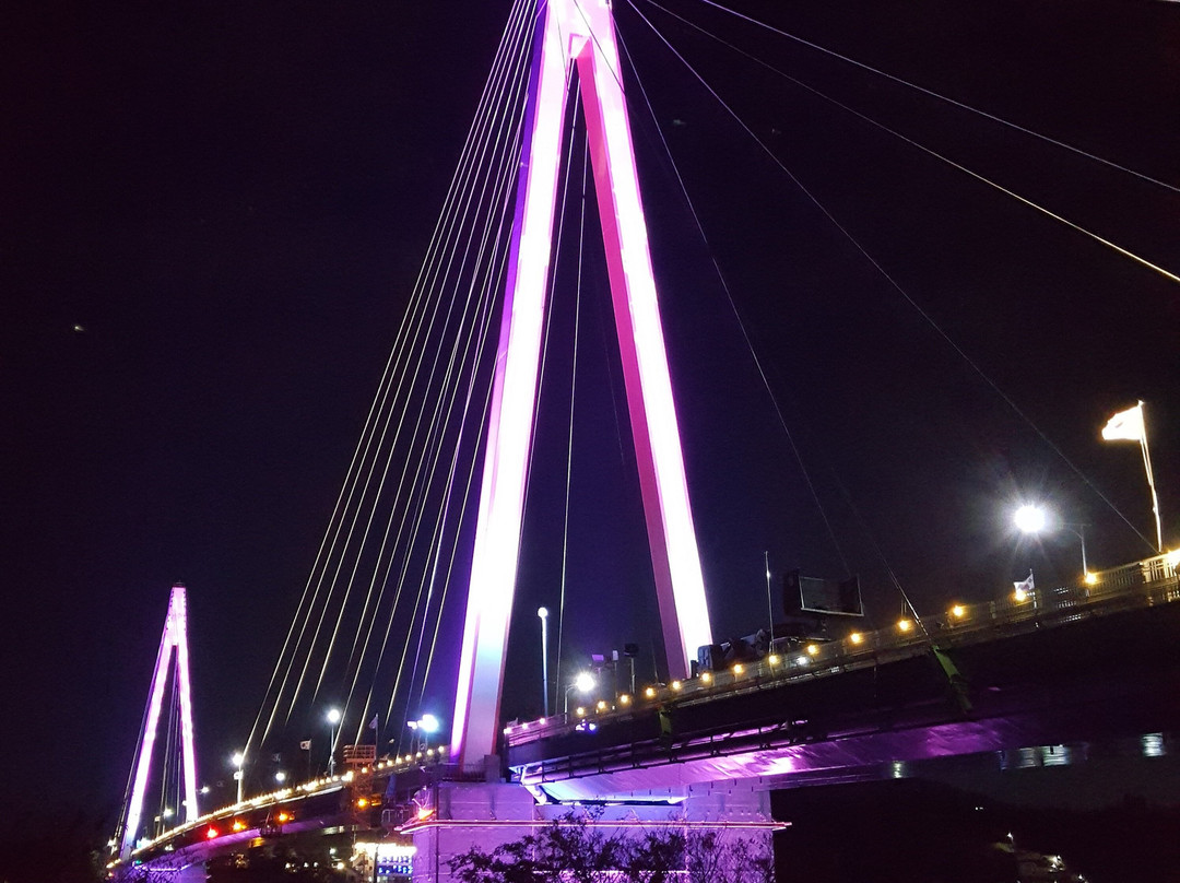 Dolsan Bridge-丽水市必去景点