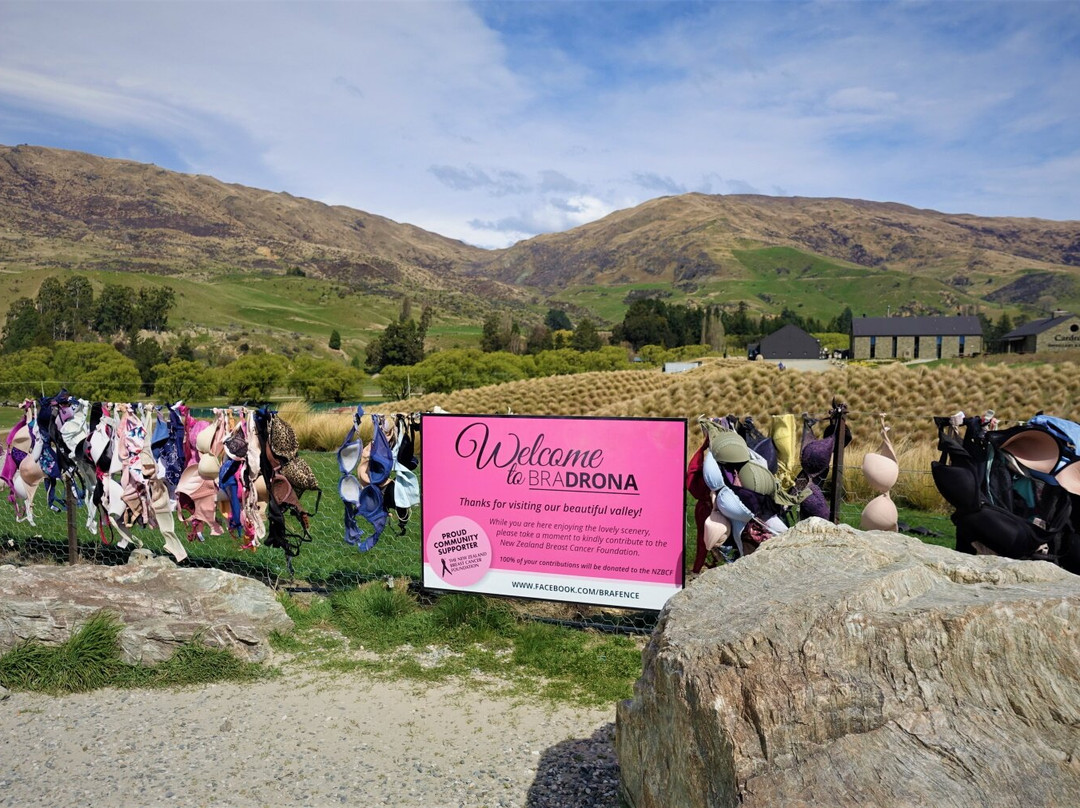 Cardrona Bra Fence-卡德罗纳必去景点