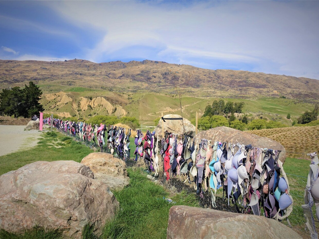 Cardrona Bra Fence-卡德罗纳必去景点
