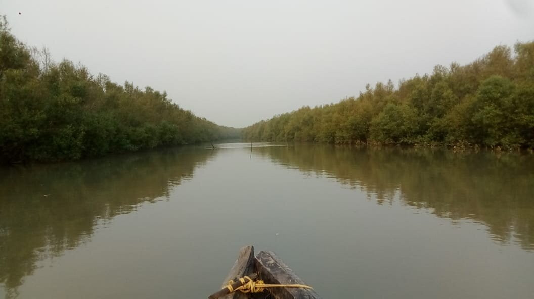 Sundarban Wildlife Tourism景点图片