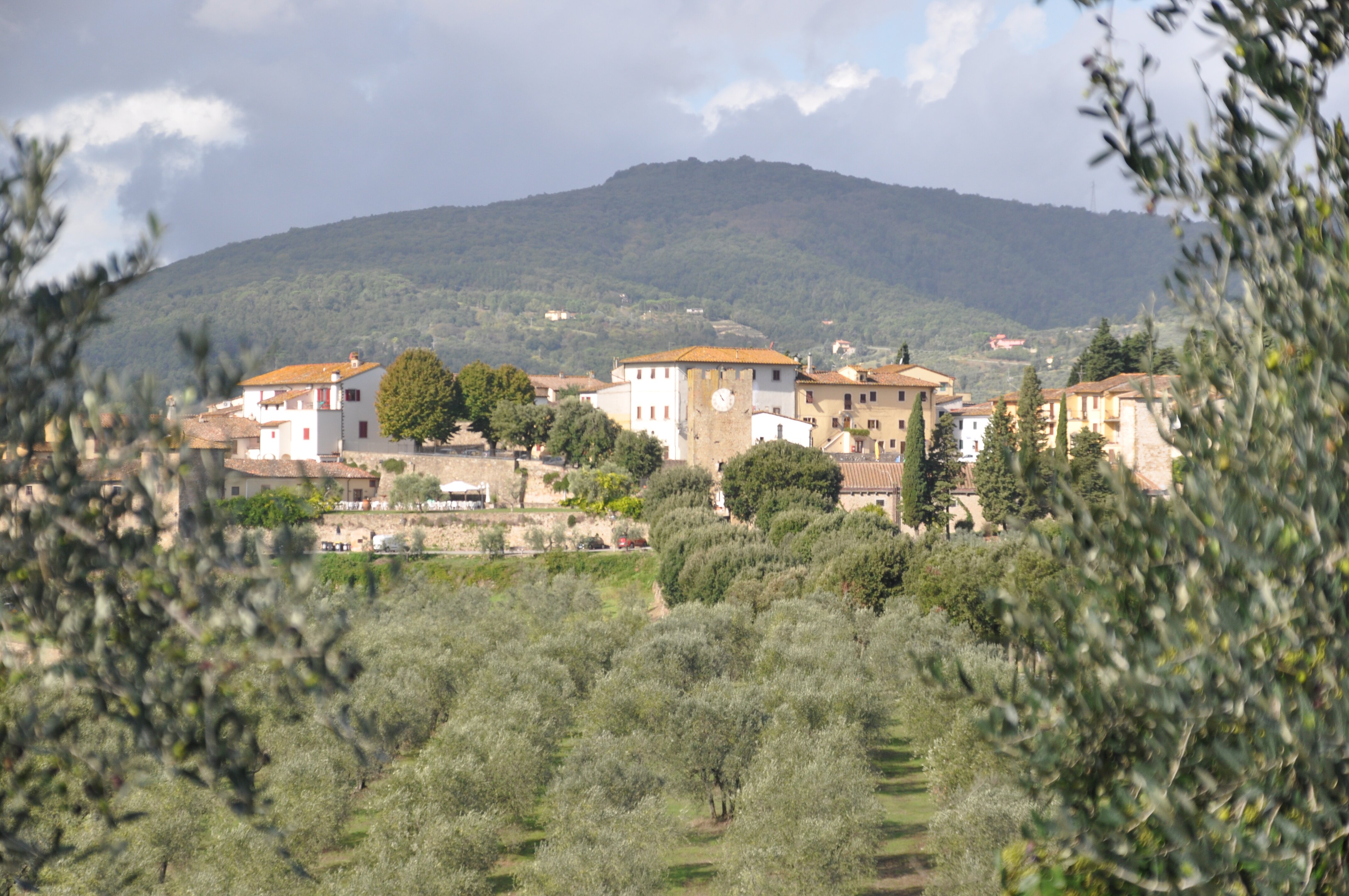 Hotel Tenuta Di Artimino Member Of Meliá Collection-酒店景观