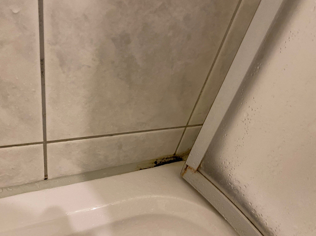 Alter Speicher Hotel & Restaurant主图