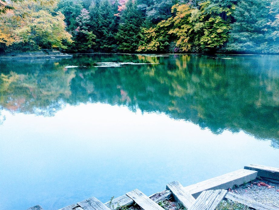 Kooser State park景点图片