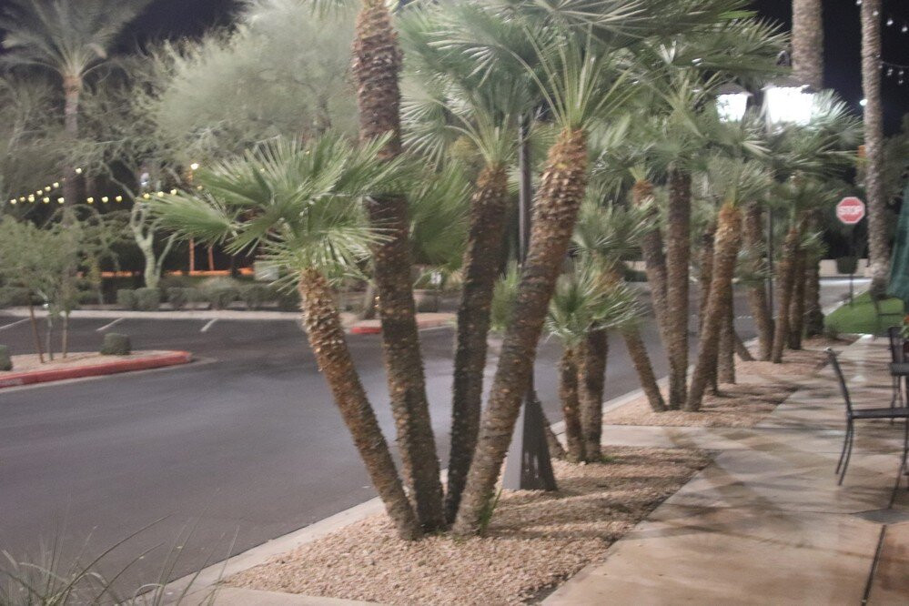 The Shoppes At Casa-钱德勒必去景点