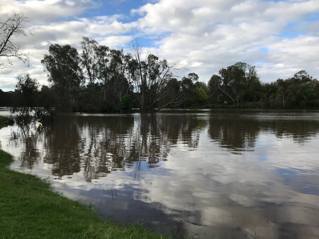 Lake Benalla Walking Track景点图片