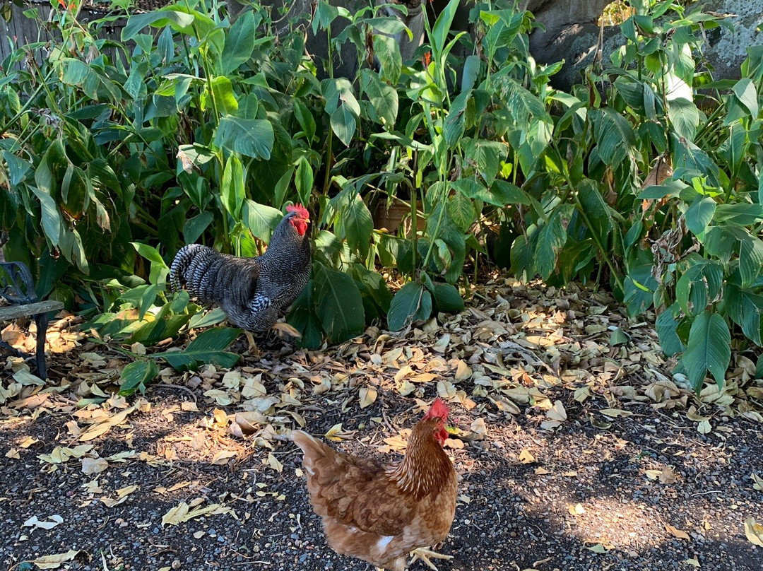 The Barracks Tocal主图