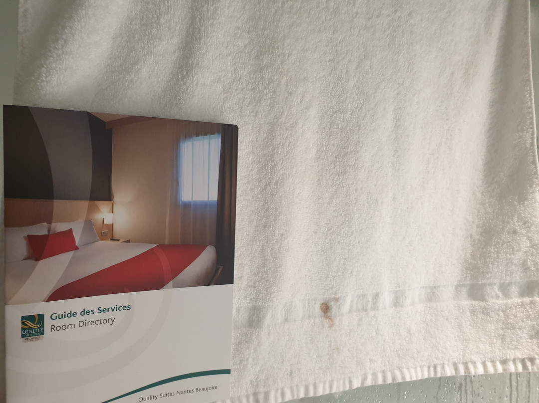 品质套房南特亚特兰蒂克酒店主图