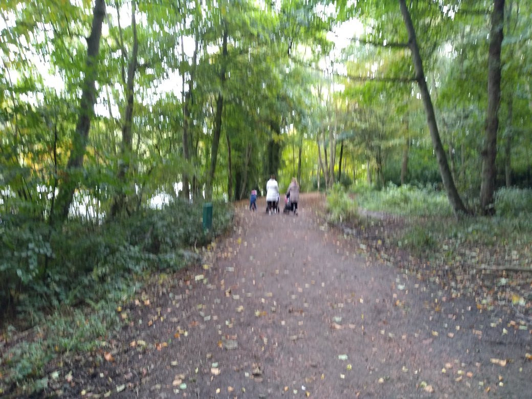 Newmillerdam Country Park景点图片