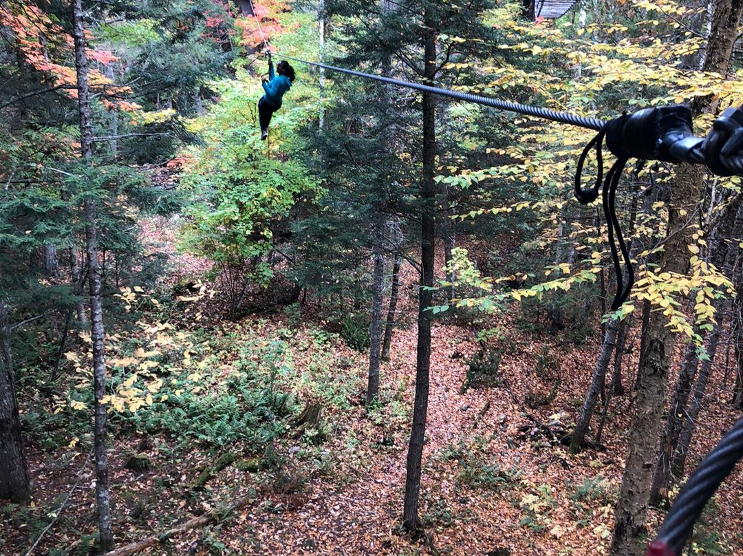 Treego Mactaquac-弗雷德里克顿必去景点