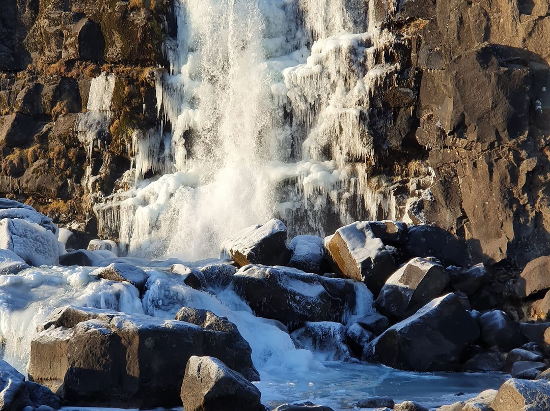 TripZig-雷克雅未克必去景点