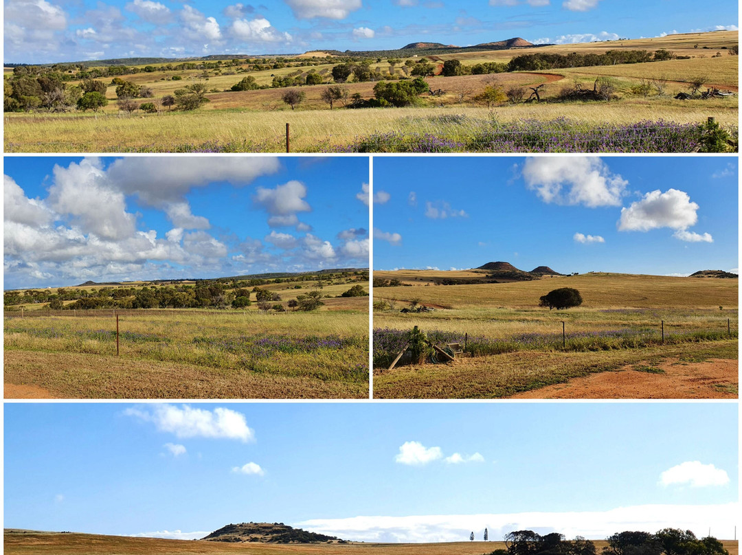 Ninghan Park Farm-Bowes必去景点