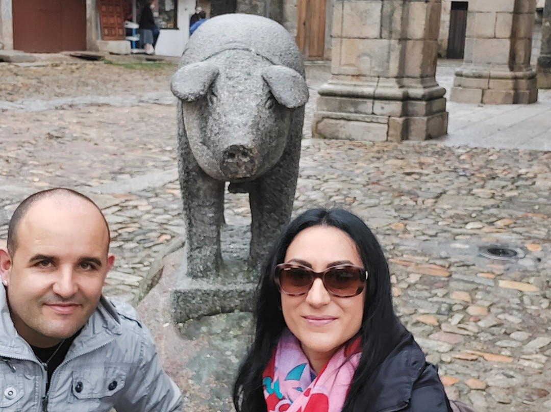 El Marrano de San Anton景点图片