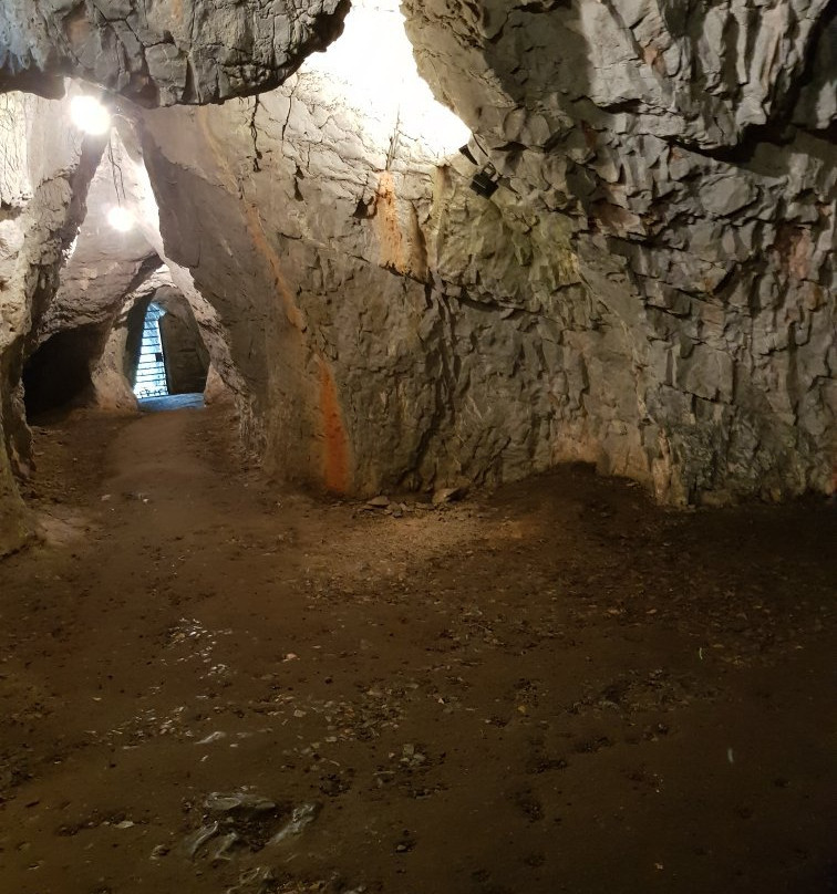 Thorigne-en-Charnie旅游攻略图片