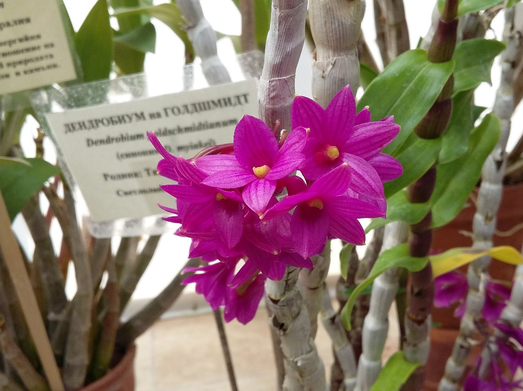 The Botanical Garden-索非亚必去景点