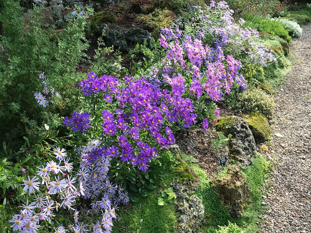 Old Court Nurseries & Picton Garden-Colwall必去景点