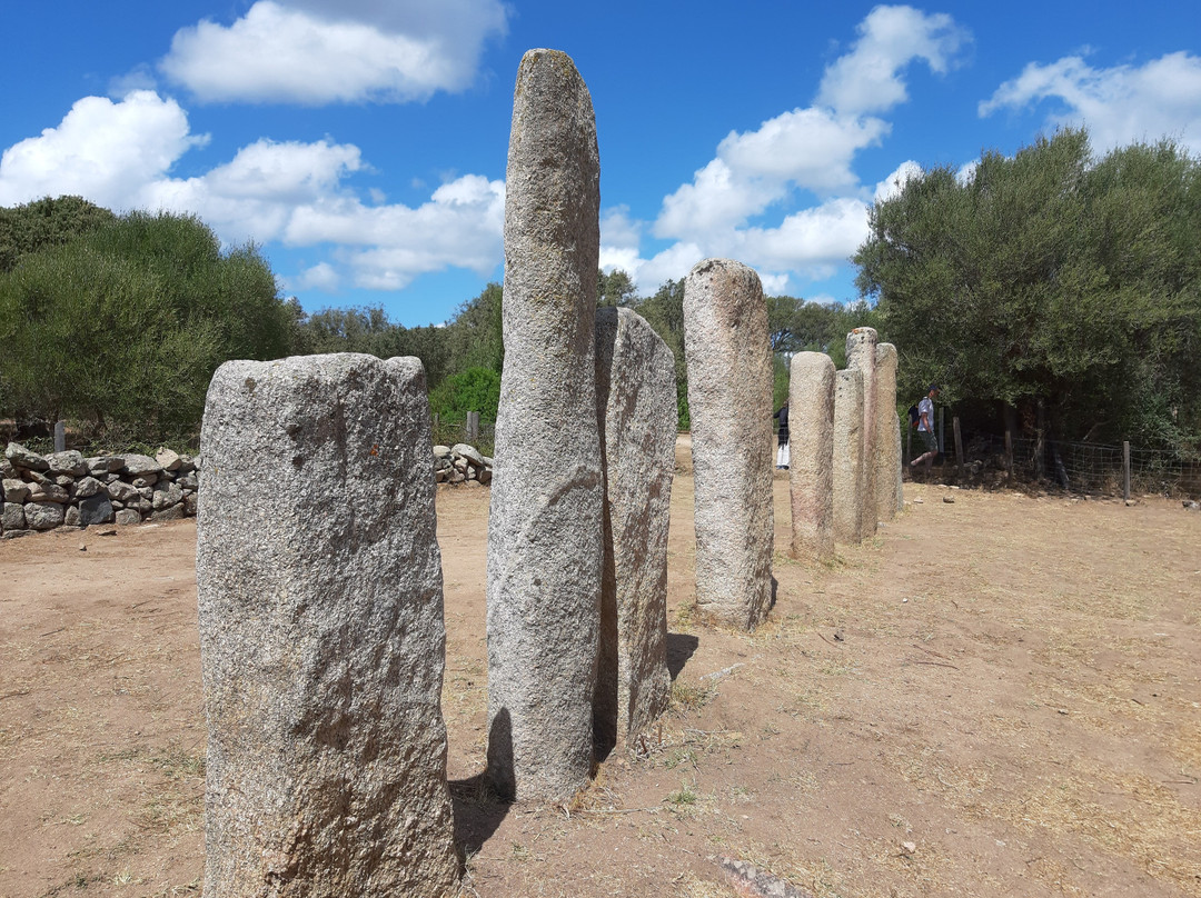 Megaliths of Cauria景点图片