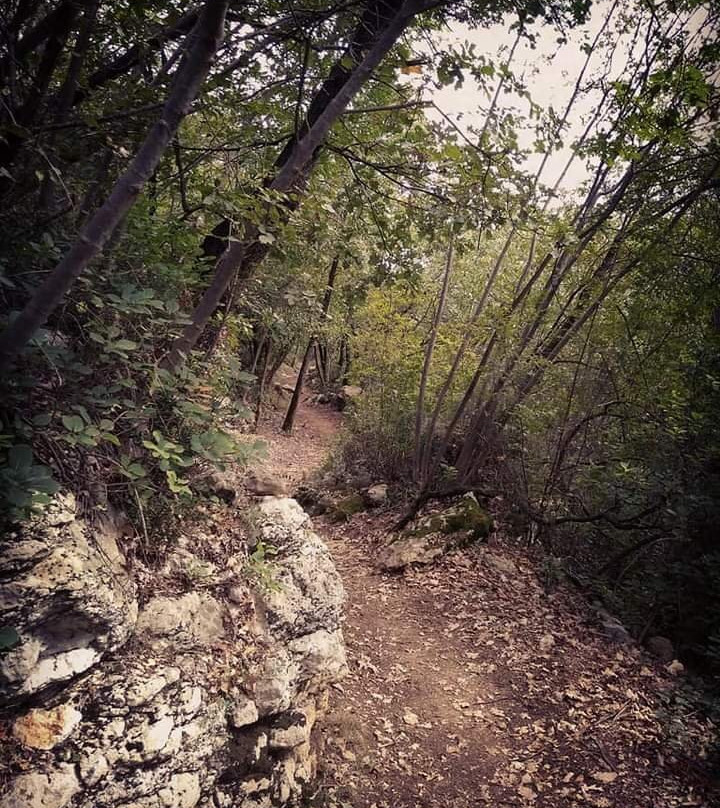 Grotta Di San Bernardino景点图片