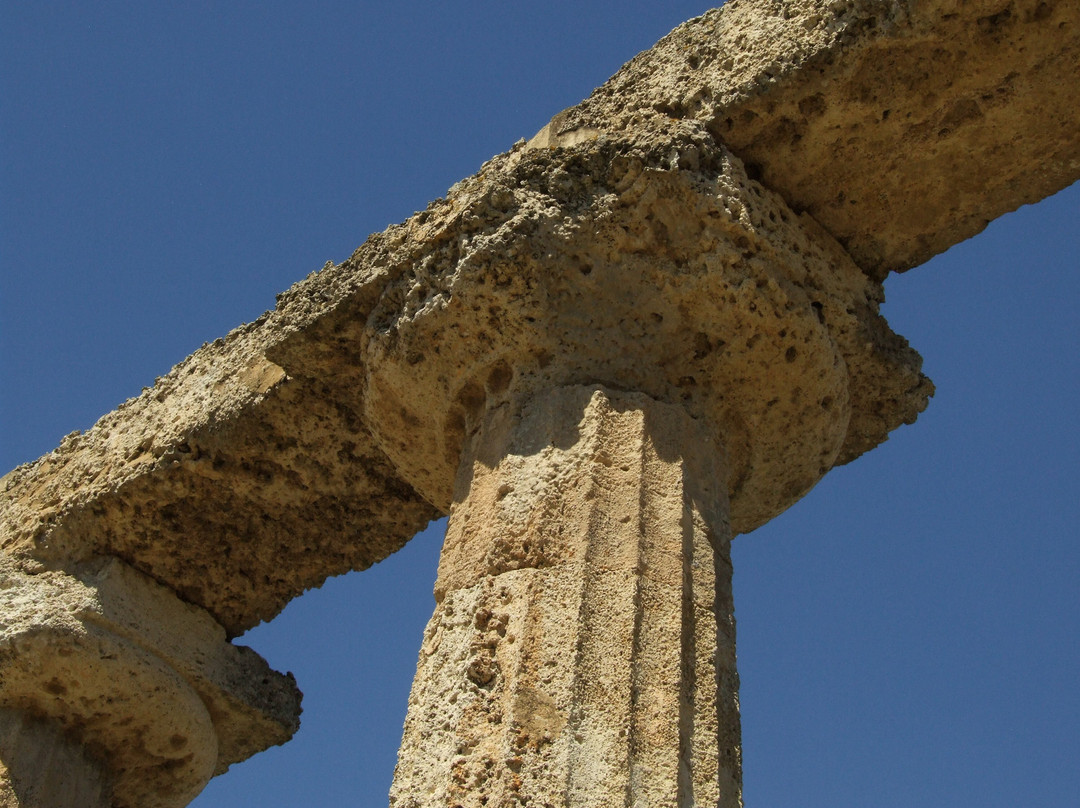 Museo Archeologico Nazionale di Metaponto景点图片
