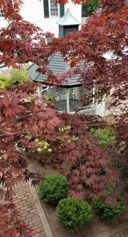 Clark Currier Inn主图