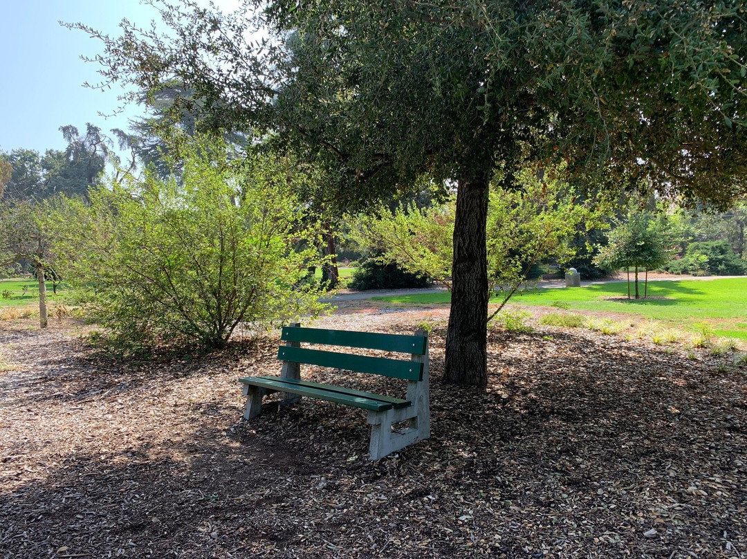 Lacy Park-圣玛利诺必去景点