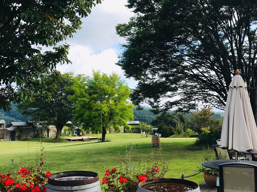 St.Cousair Winery Honten-饭纲町必去景点