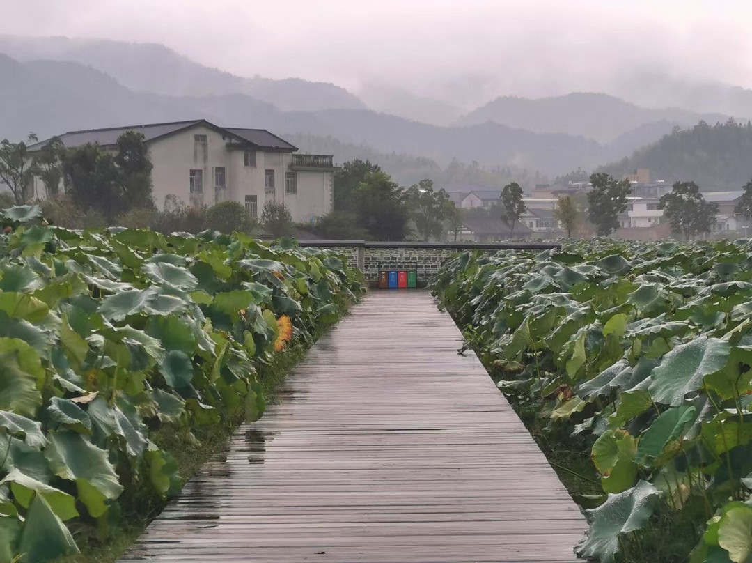 古田会议旧址-上杭县必去景点