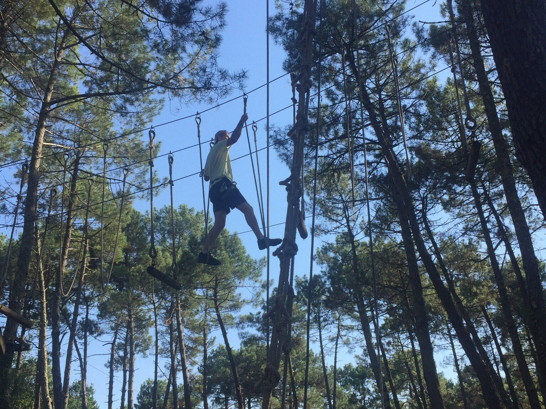 Adrenaline Parc景点图片