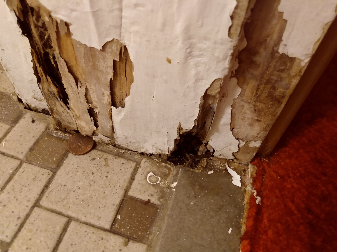 Riverview Cabins主图