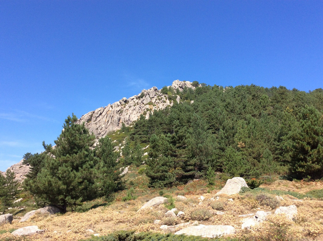 CORSICA RAID 4X4-维琪奥港必去景点