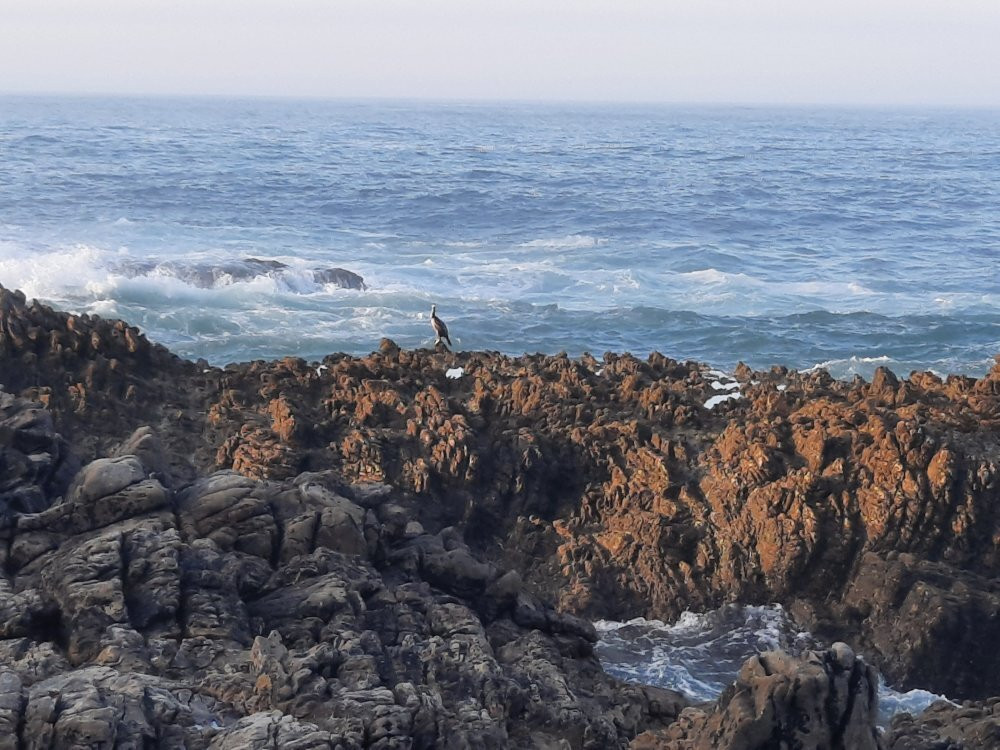 Playa de La Franca景点图片