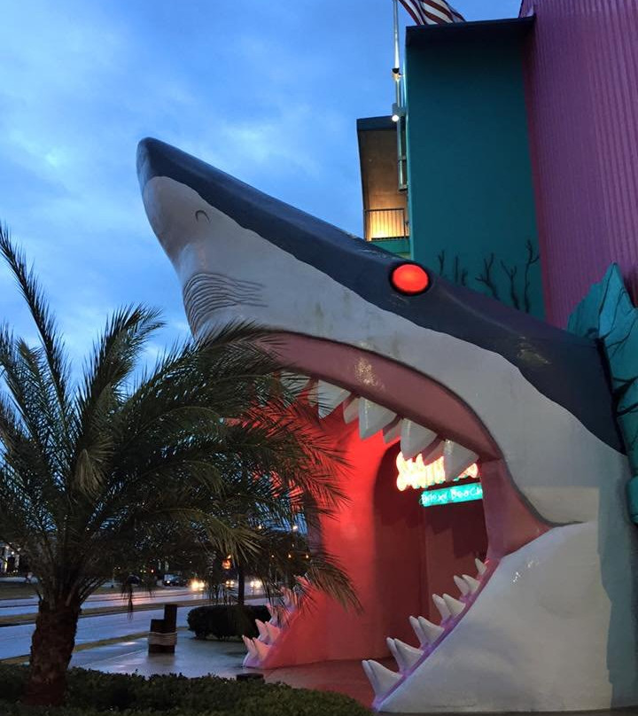 Sharkheads景点图片