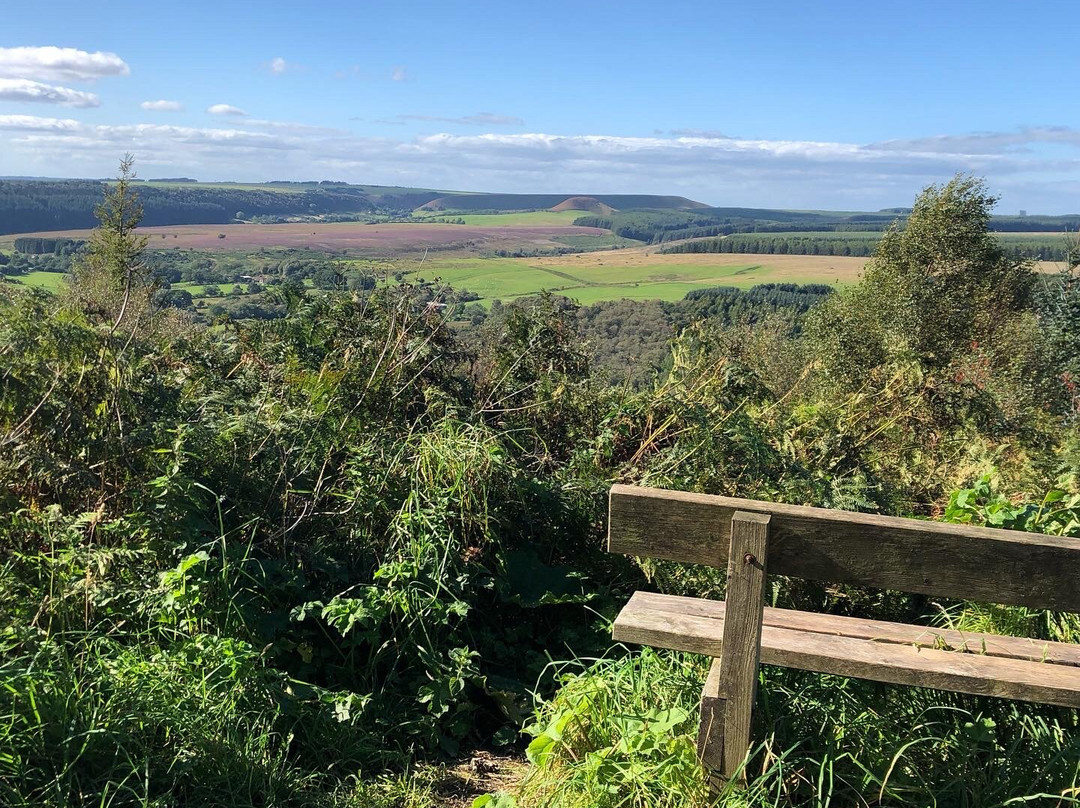 Dalby Forest Cycle Hub景点图片